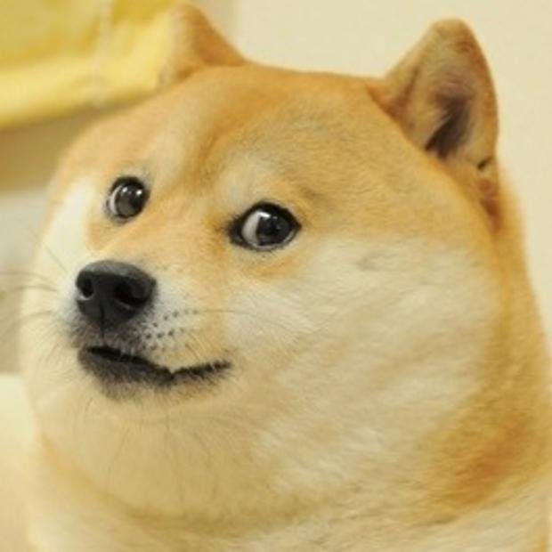 Doge Meme Image